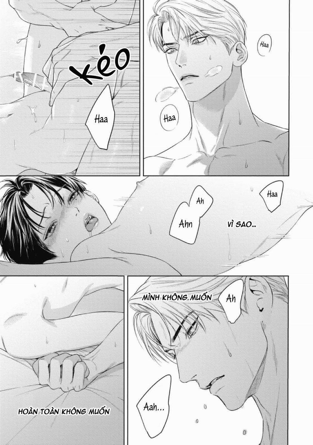 Cô Dâu Của Alpha 19 trang 12