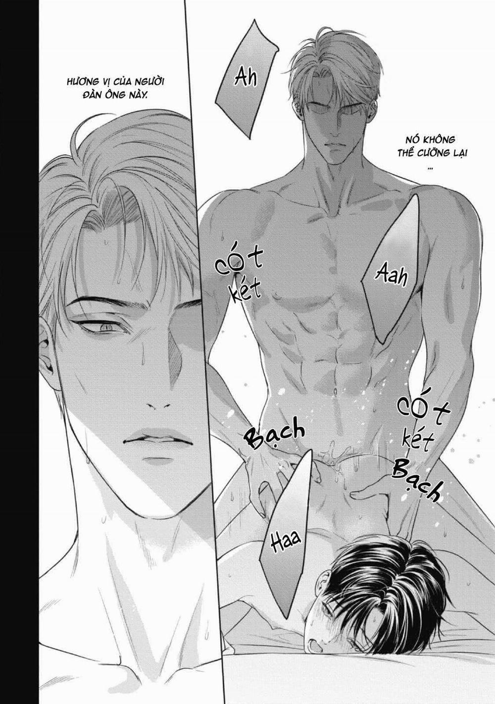 Cô Dâu Của Alpha 19 trang 3