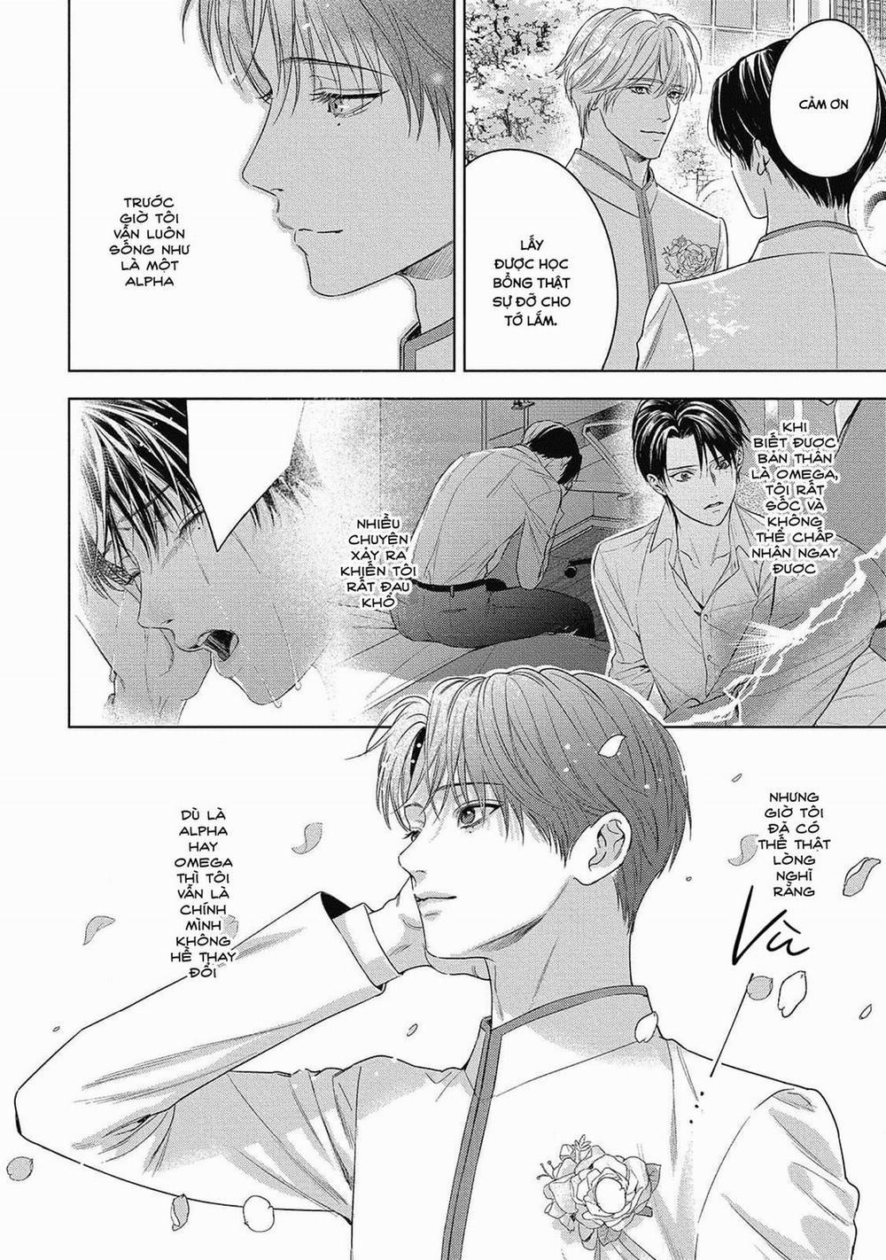 Cô Dâu Của Alpha 28 trang 7