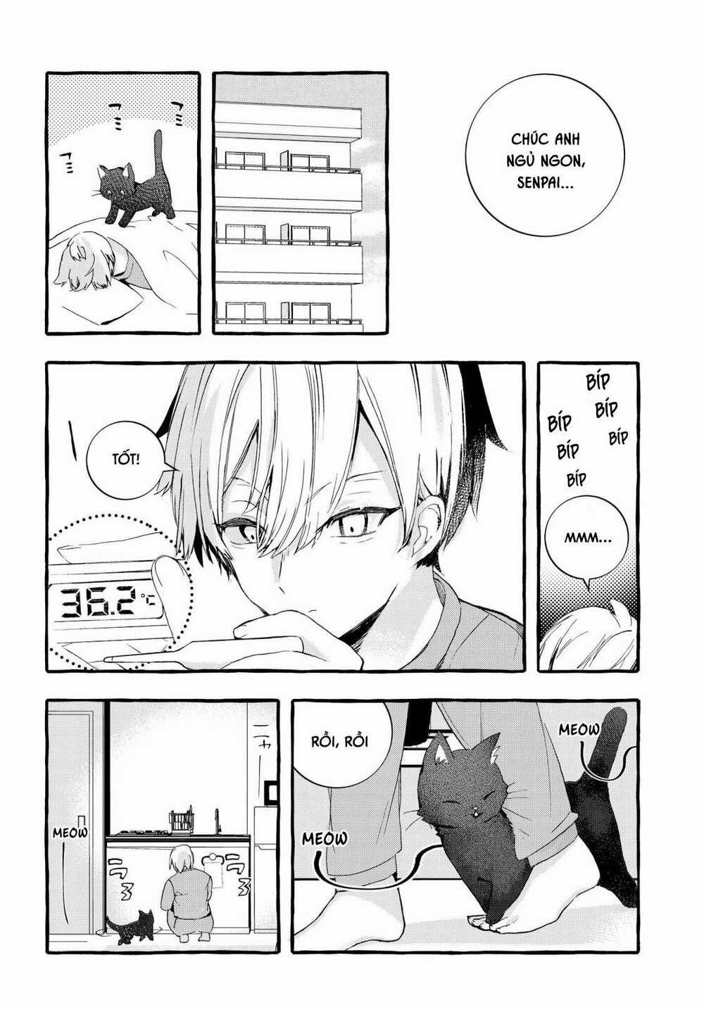 Cô Nàng Lạnh Lùng Trên Trường Lại Là Mèo Cưng Của Tôi 1 trang 12