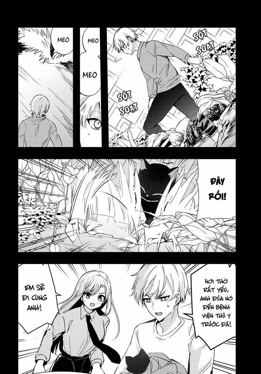 Cô Nàng Lạnh Lùng Trên Trường Lại Là Mèo Cưng Của Tôi 6 trang 4