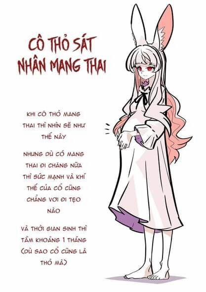 Cô Thỏ Sát Nhân 3 trang 2