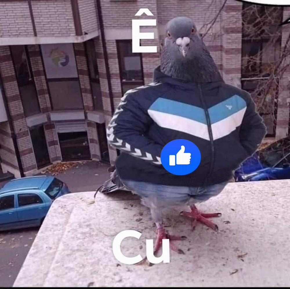 Cô vợ nội trợ vào một buổi chiều mùa hè Oneshot nứng trang 11