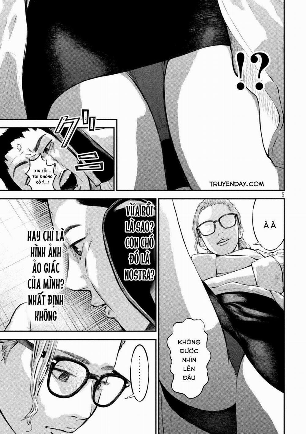 Code: Nostra 15 trang 5