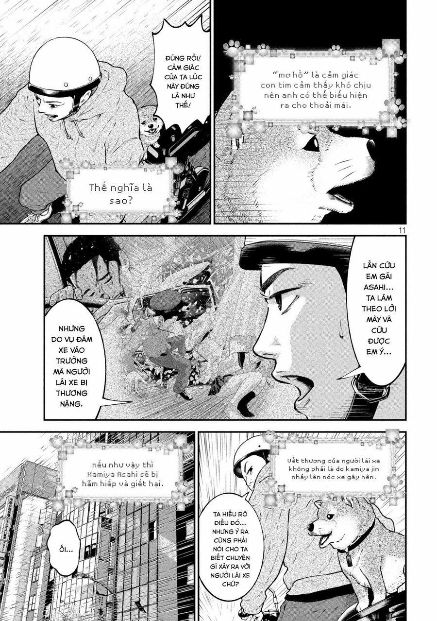 Code: Nostra 16 trang 10