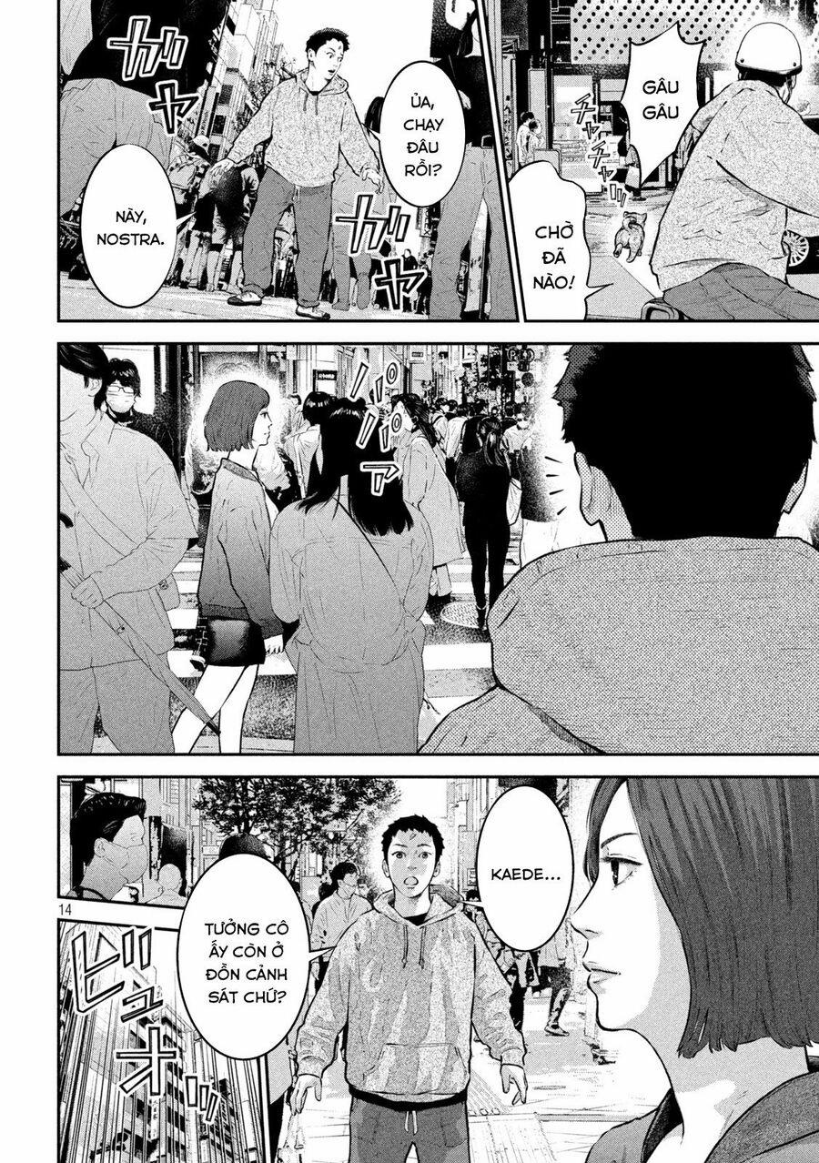 Code: Nostra 16 trang 13