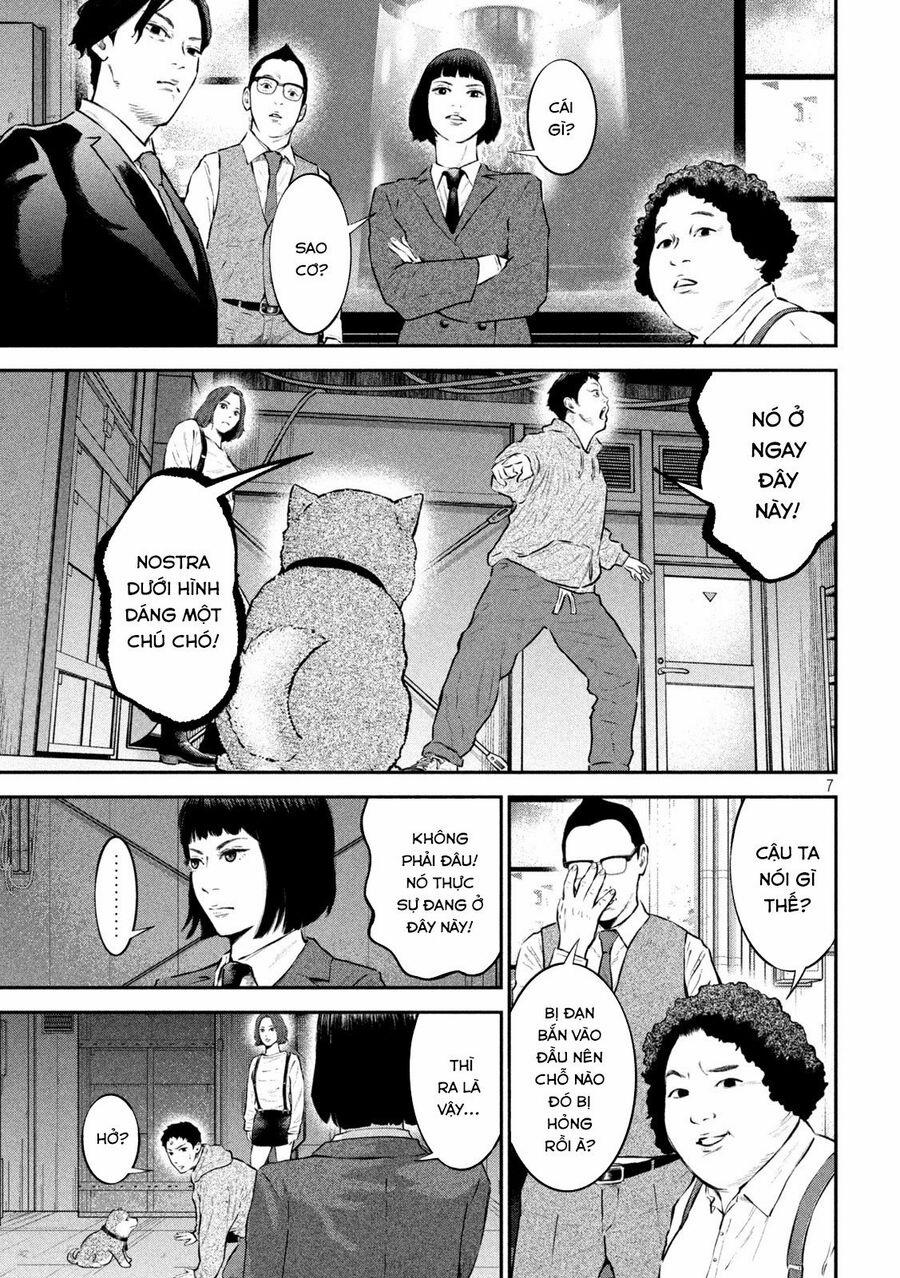 Code: Nostra 16 trang 6