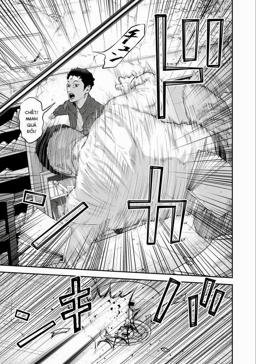 Code: Nostra 26 trang 8