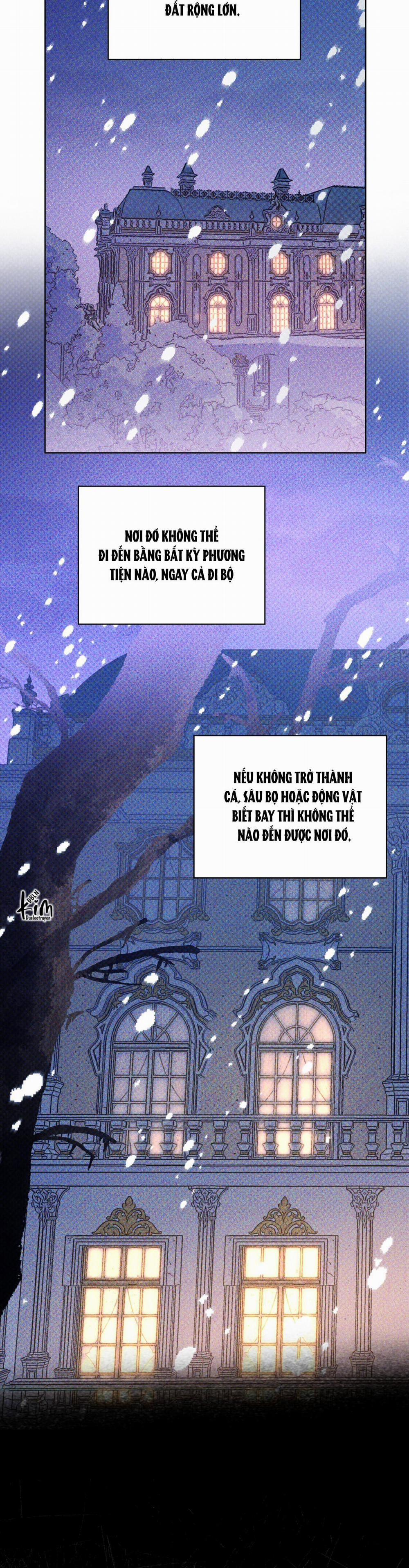 Codename Anastasia 43 bú đuýt thỏ trang 21