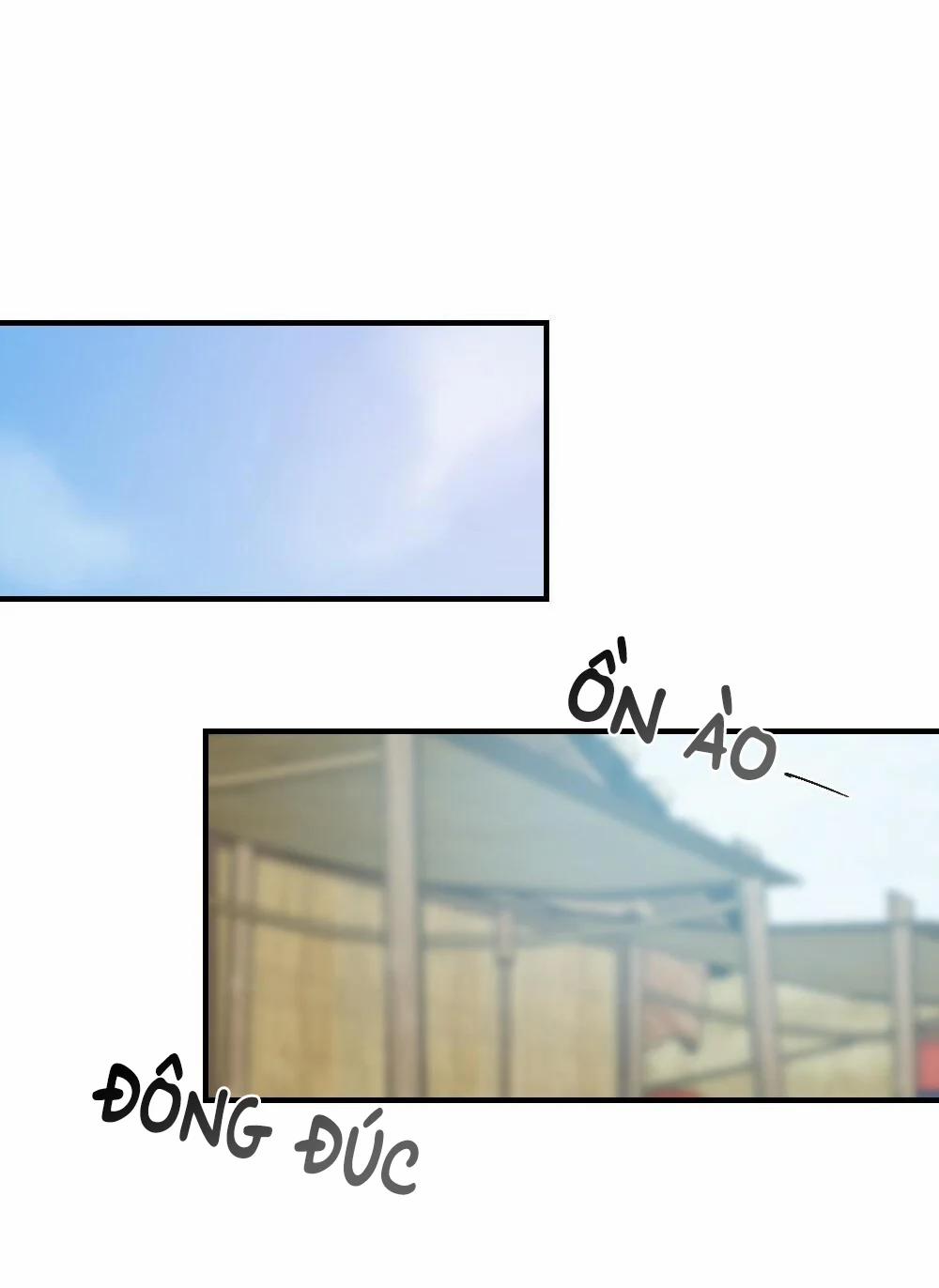 Cối Nghiền Ớt 3 trang 11