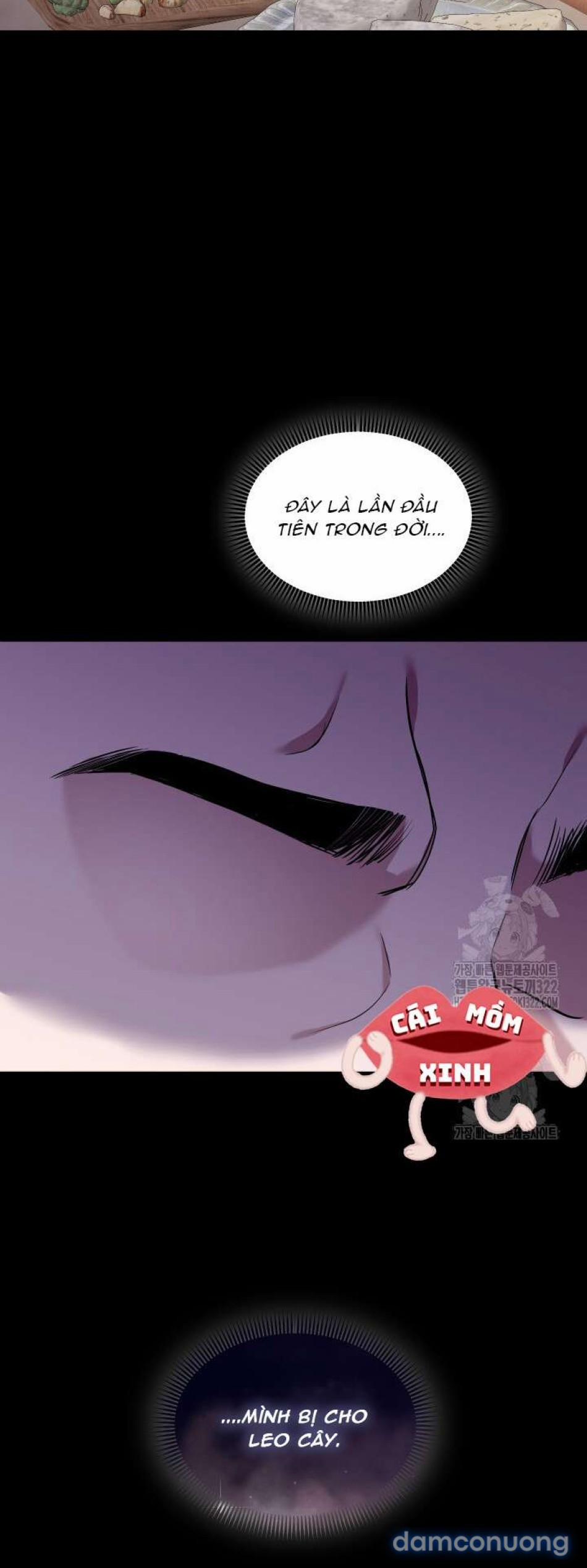 Collector 30 trang 11