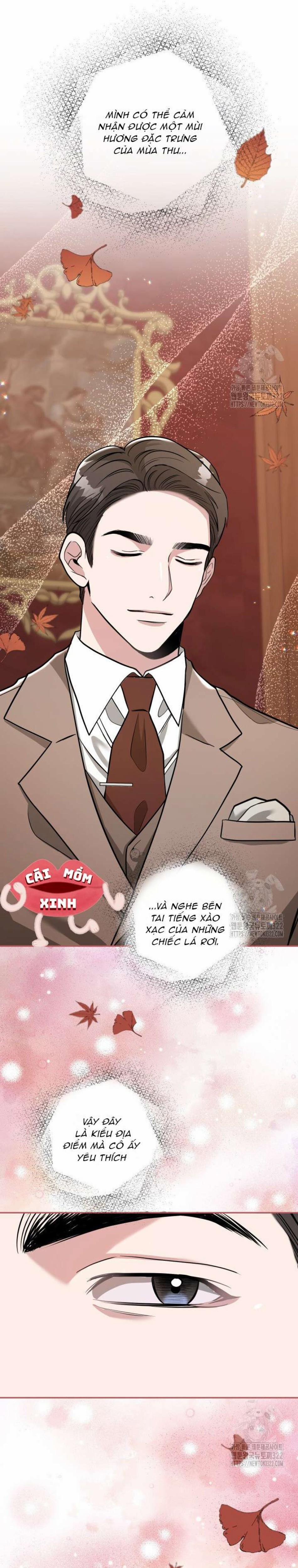 Collector 30 trang 6