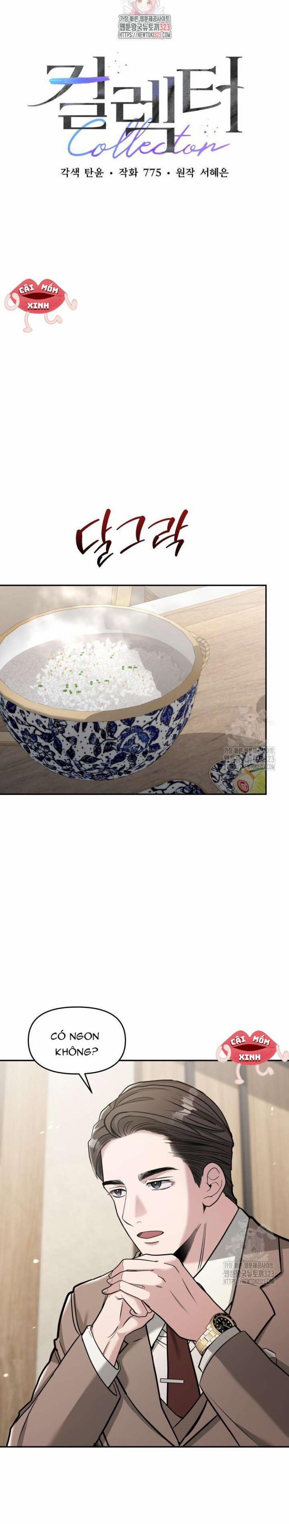 Collector 31 trang 0