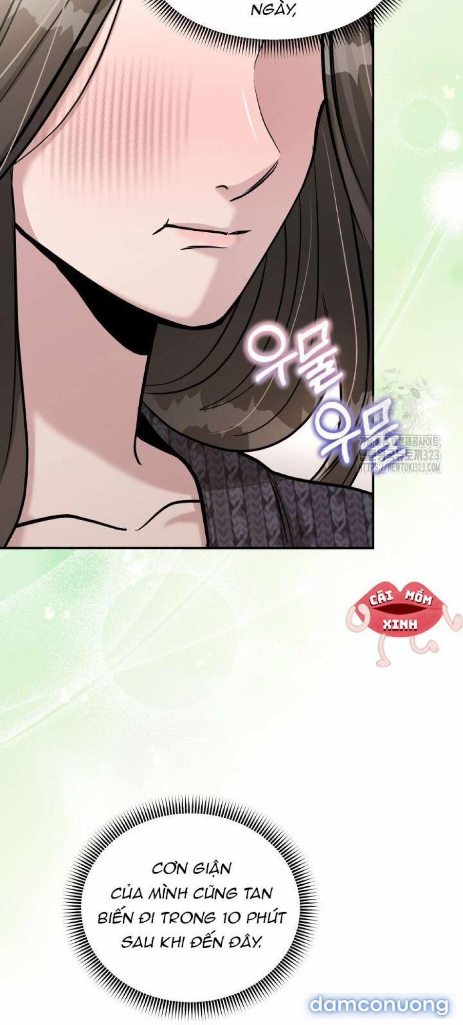 Collector 31 trang 2