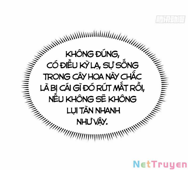 Con Của Ta Là Đại Lão 48 trang 12