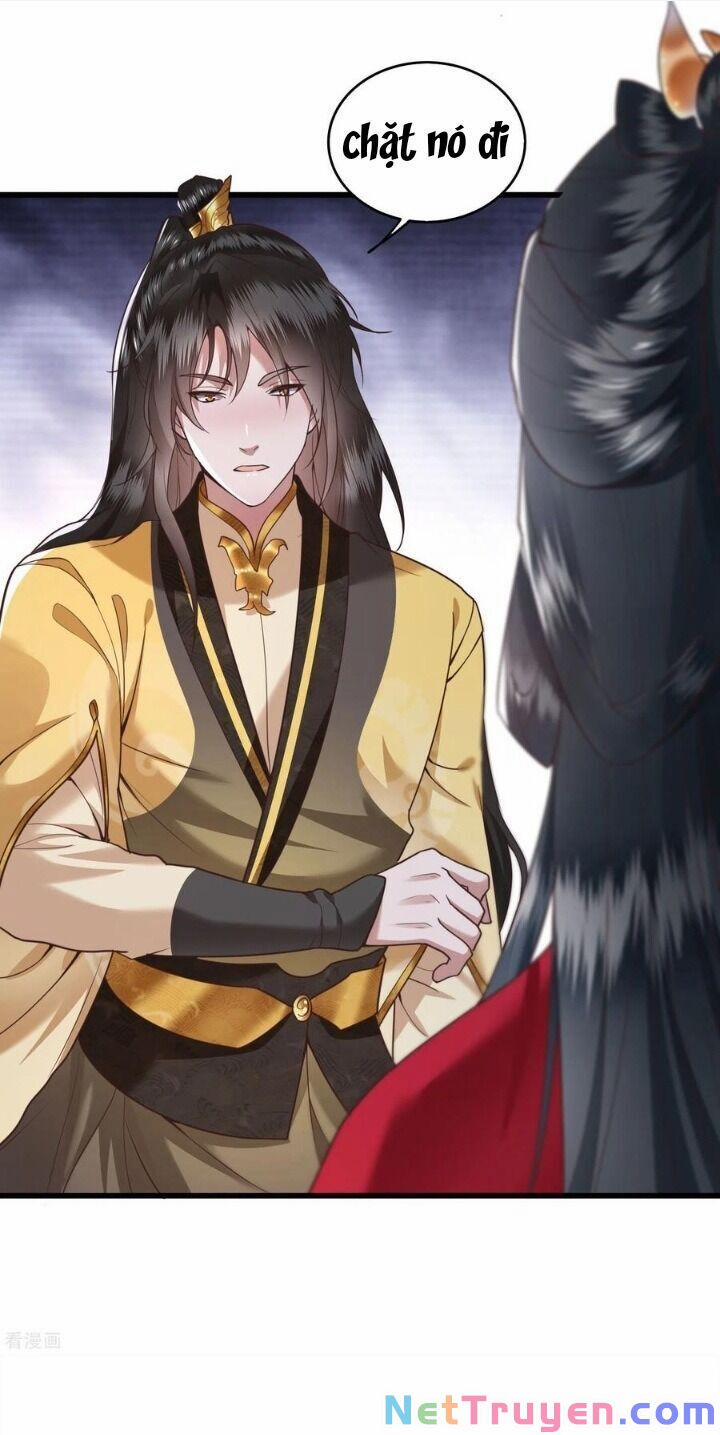 Con Đường Hoang Dã Của Vương Phi 33 trang 28