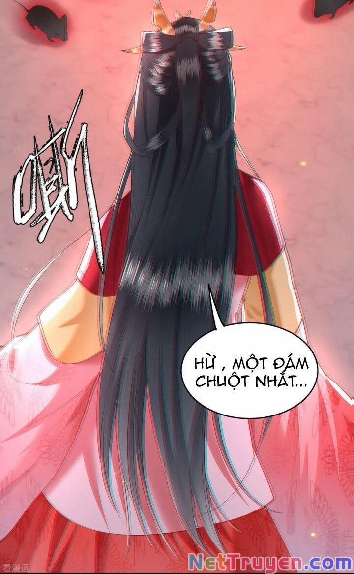 Con Đường Hoang Dã Của Vương Phi 33 trang 7