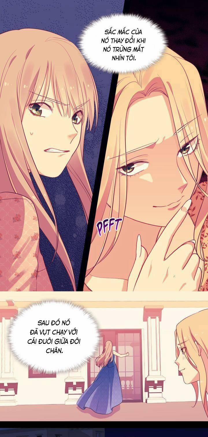 Con Đường Trở Thành Vị Hôn Thê Của Công Tước 21 trang 4
