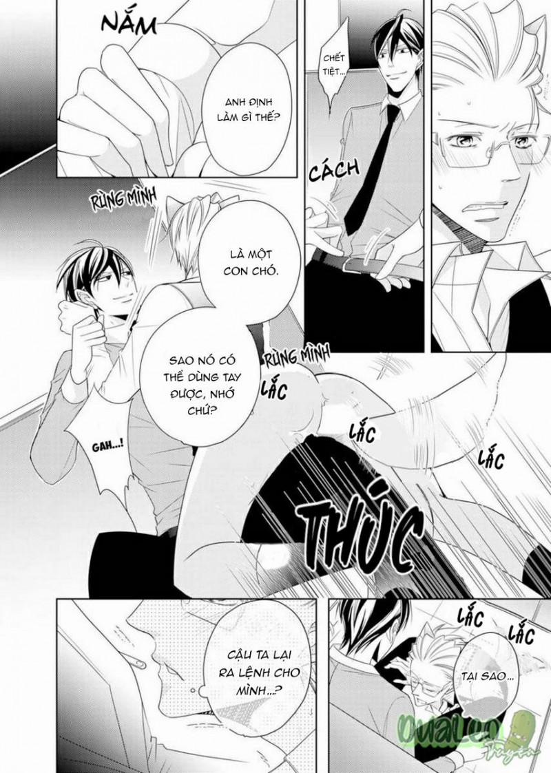 Con Hàng Lí Tưởng 5 trang 11