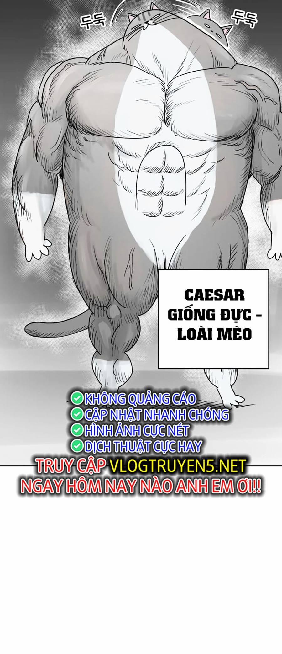 Con Mèo Đô Vật Của Tôi 1 trang 24