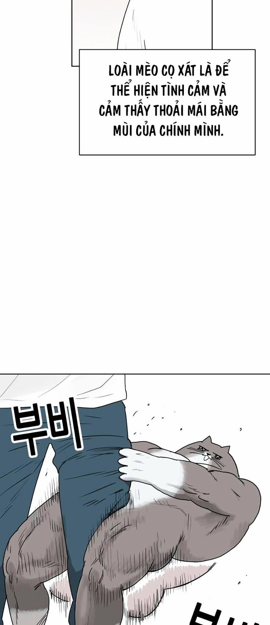 Con Mèo Đô Vật Của Tôi 1 trang 46