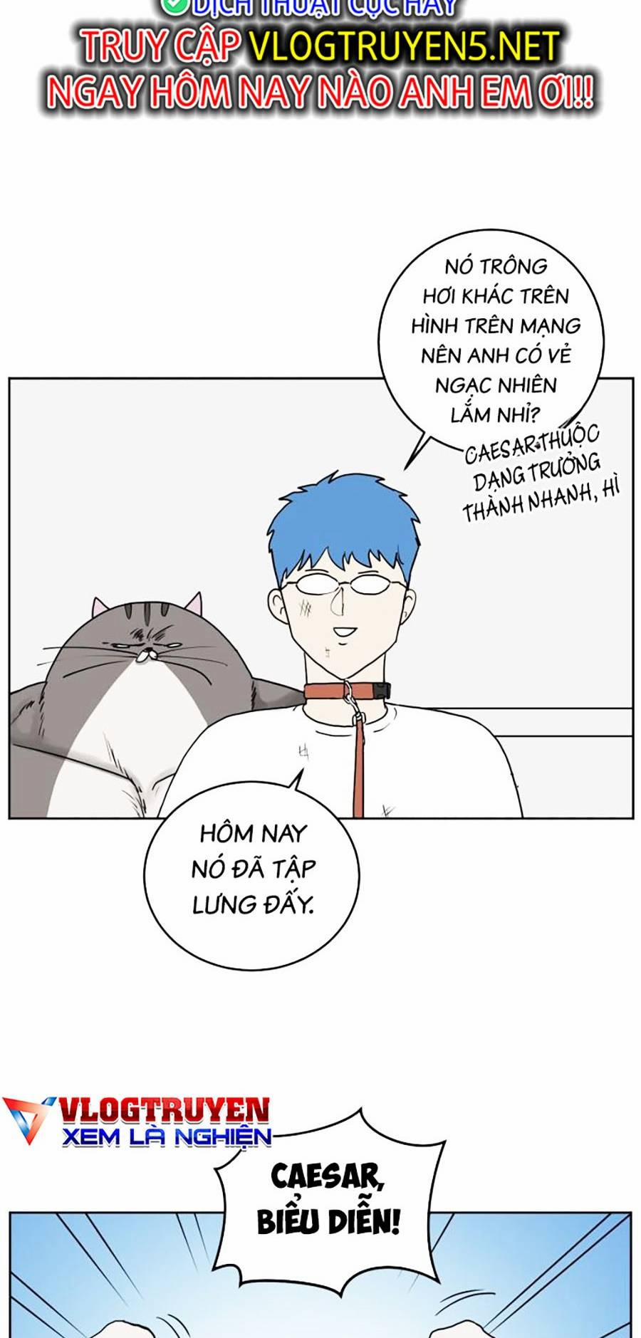 Con Mèo Đô Vật Của Tôi 2 trang 56