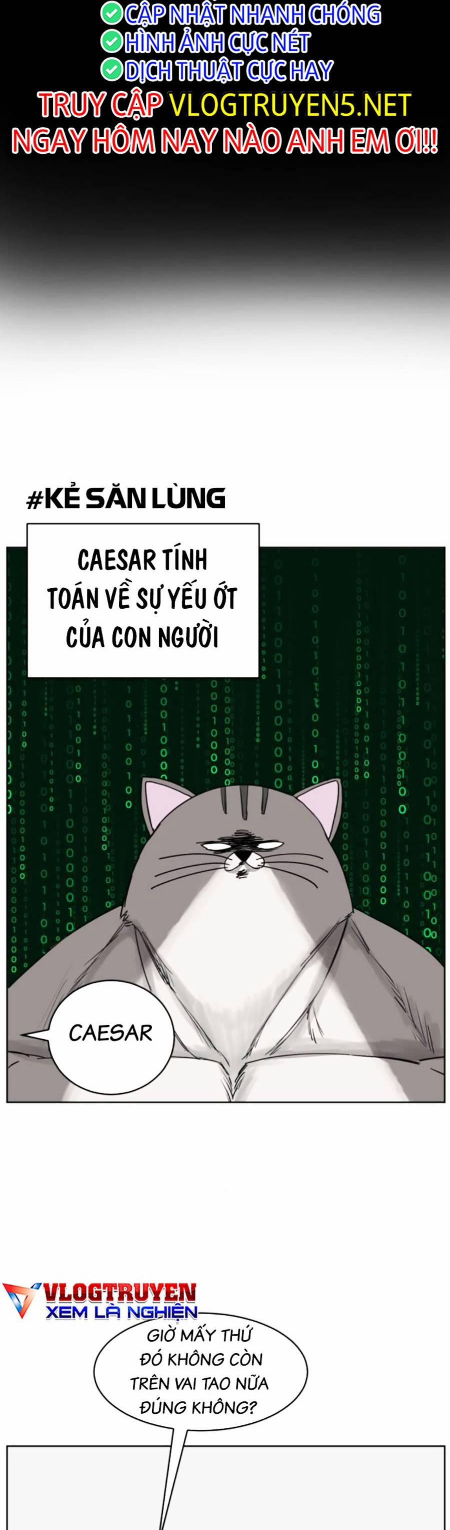 Con Mèo Đô Vật Của Tôi 4 trang 47