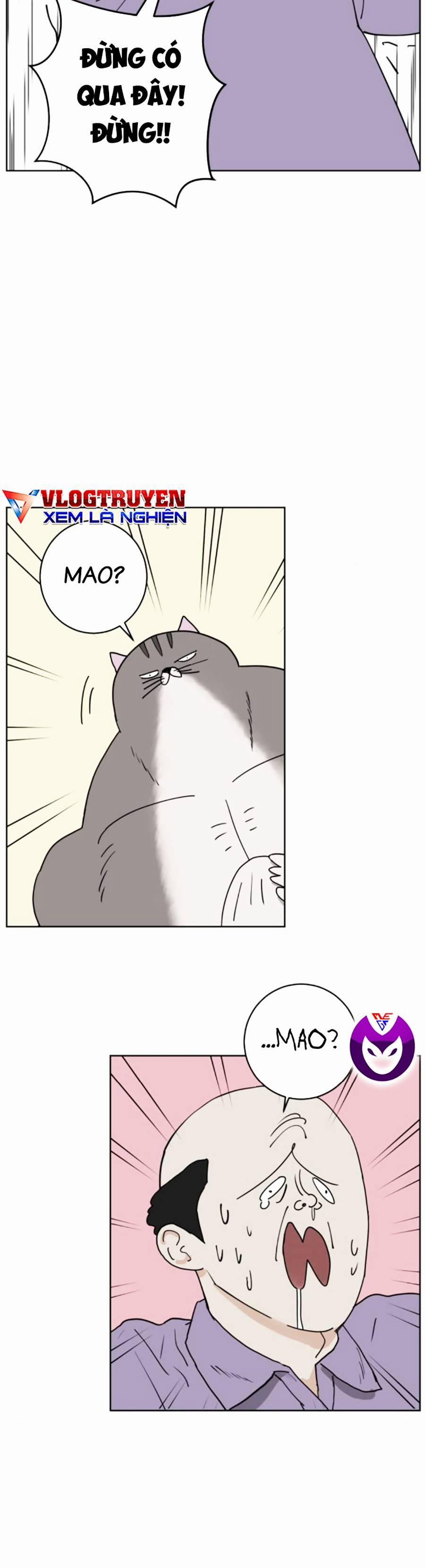 Con Mèo Đô Vật Của Tôi 6 trang 33