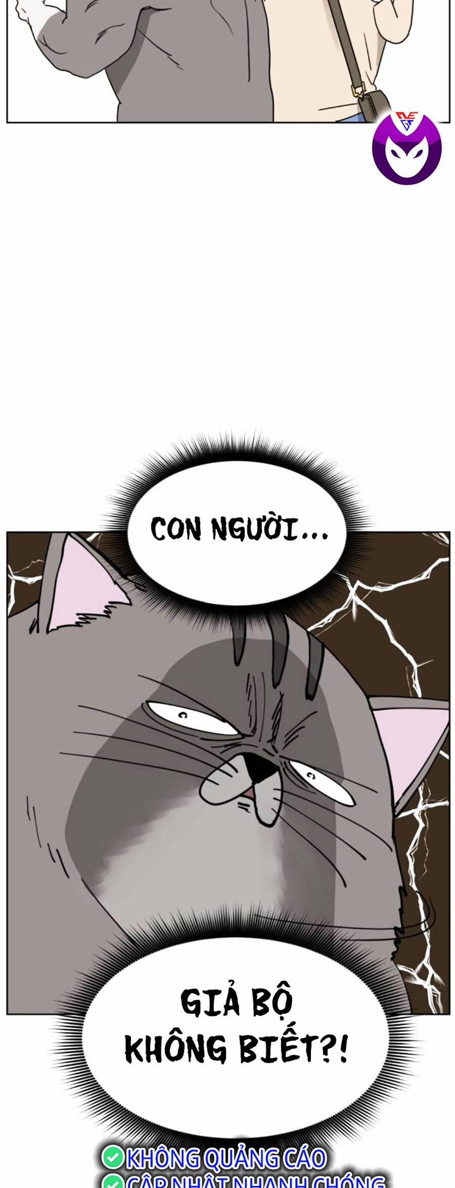 Con Mèo Đô Vật Của Tôi 7 trang 22