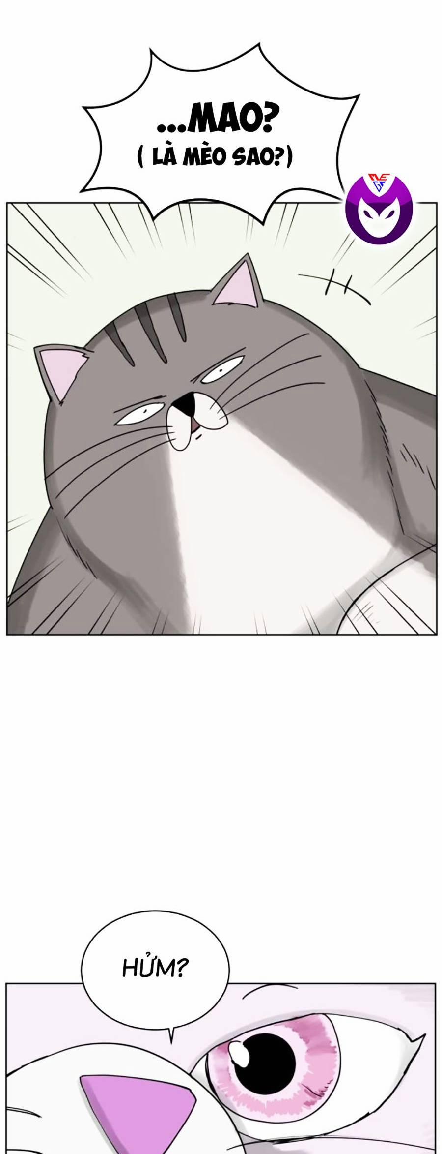 Con Mèo Đô Vật Của Tôi 7 trang 27