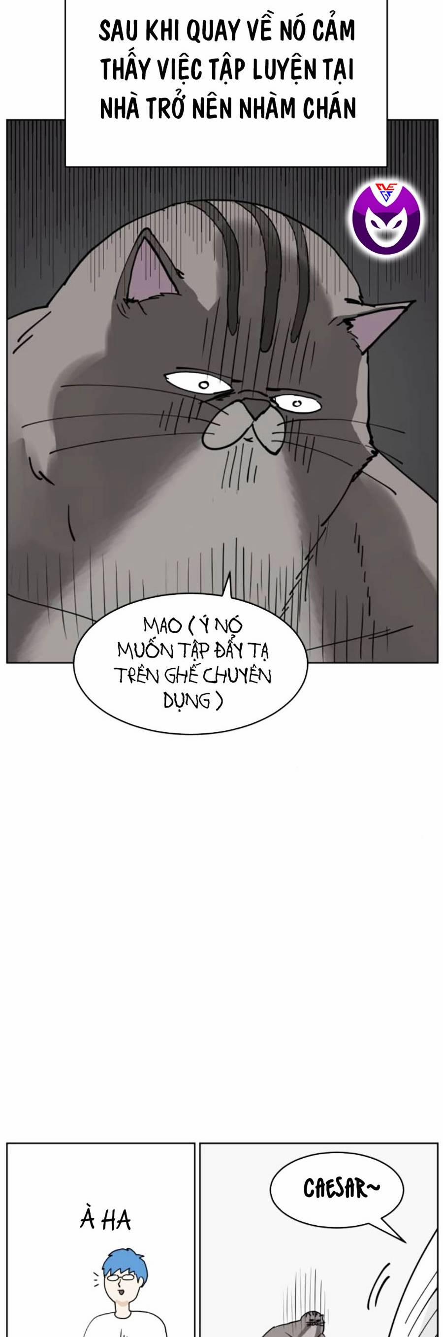 Con Mèo Đô Vật Của Tôi 7 trang 6