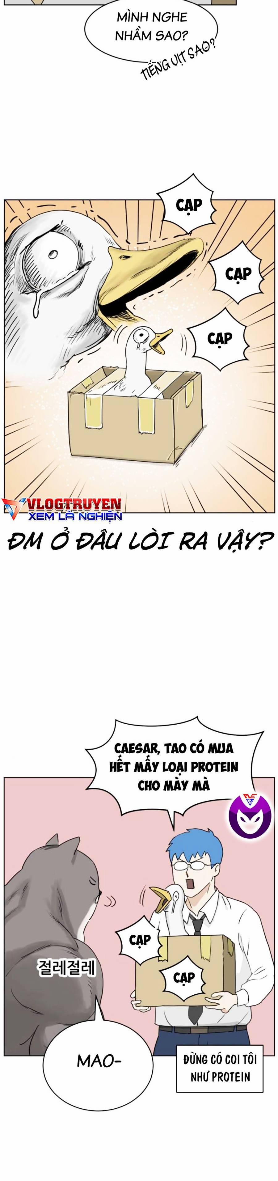 Con Mèo Đô Vật Của Tôi 8 trang 18