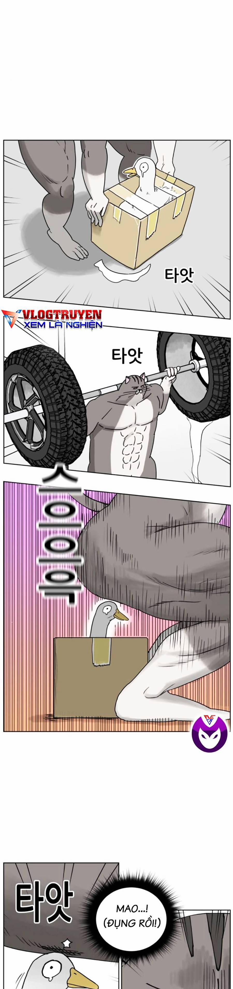 Con Mèo Đô Vật Của Tôi 8 trang 19