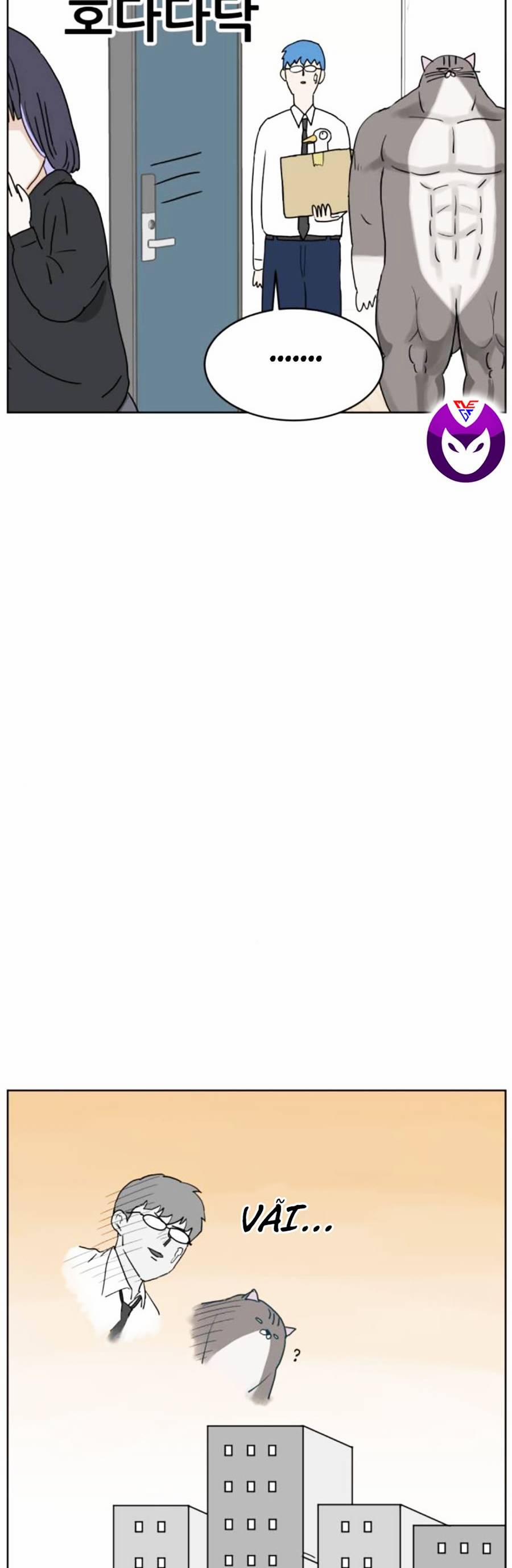 Con Mèo Đô Vật Của Tôi 8 trang 36