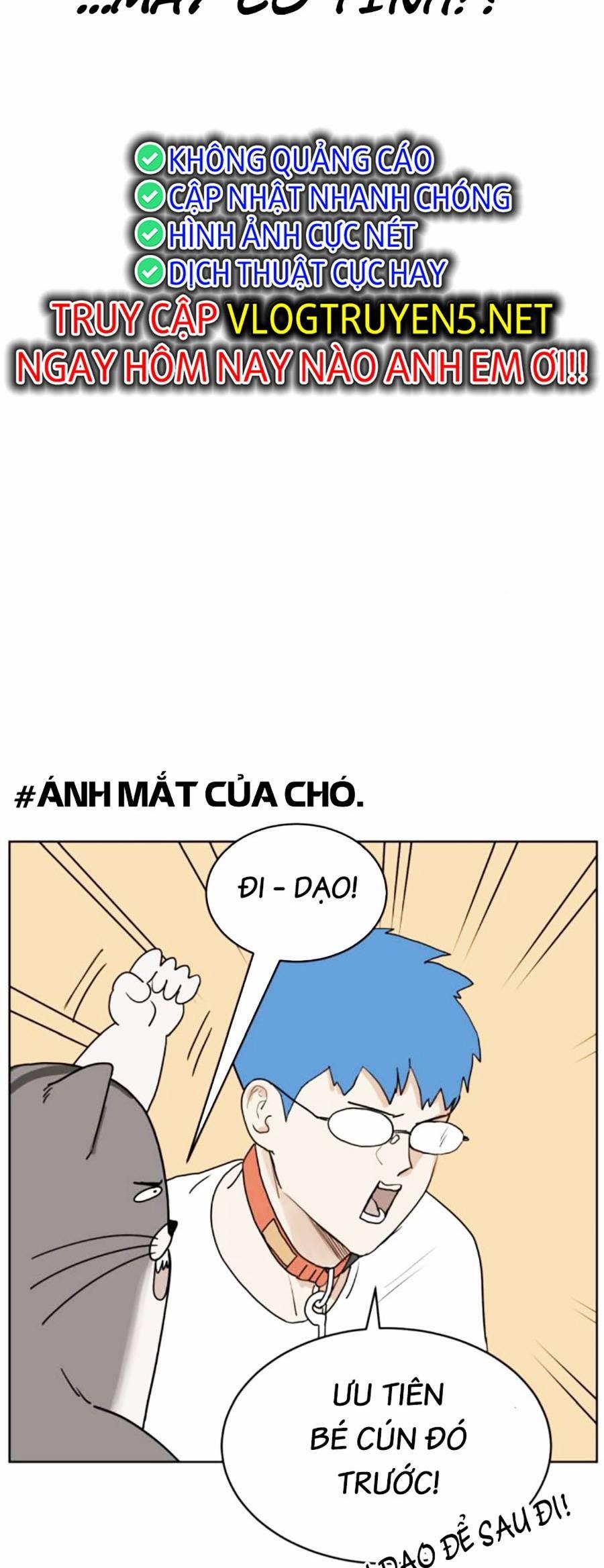 Con Mèo Đô Vật Của Tôi 9 trang 13