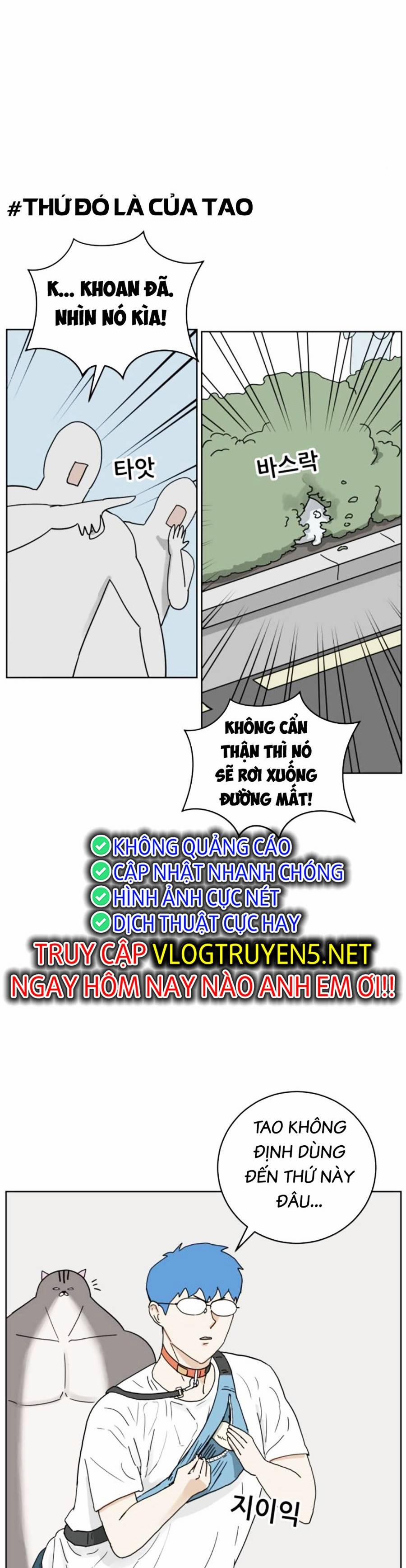 Con Mèo Đô Vật Của Tôi 9 trang 20