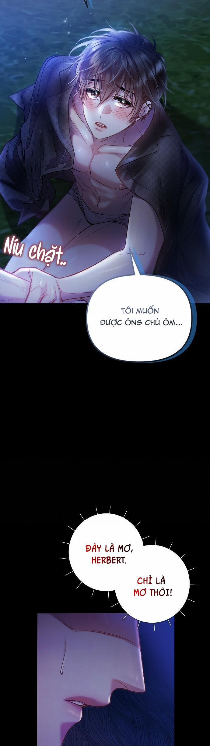 Cơn Mưa Ngọt Ngào 16 trang 5