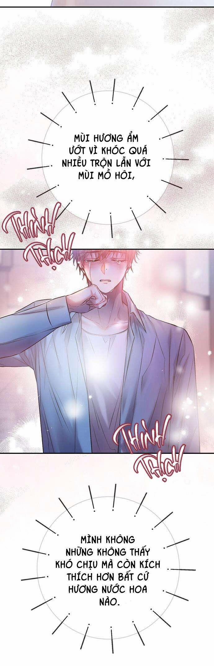 Cơn Mưa Ngọt Ngào 45 trang 19