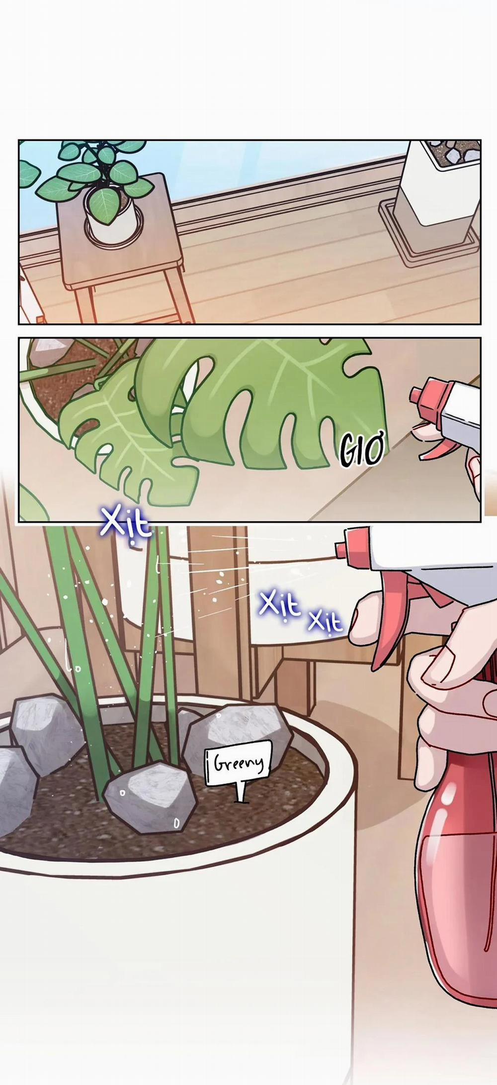 Cơn Mưa Rào Mùa Hạ 2 trang 15