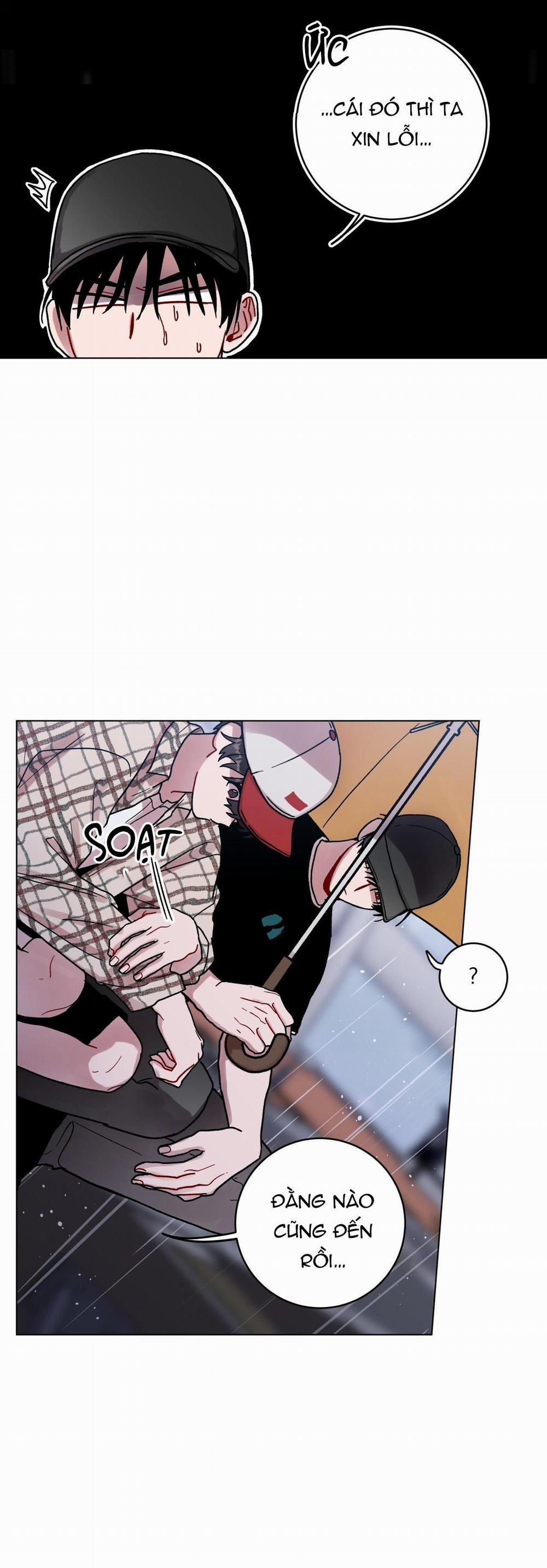 Cơn Mưa Rào Mùa Hạ 77 trang 13