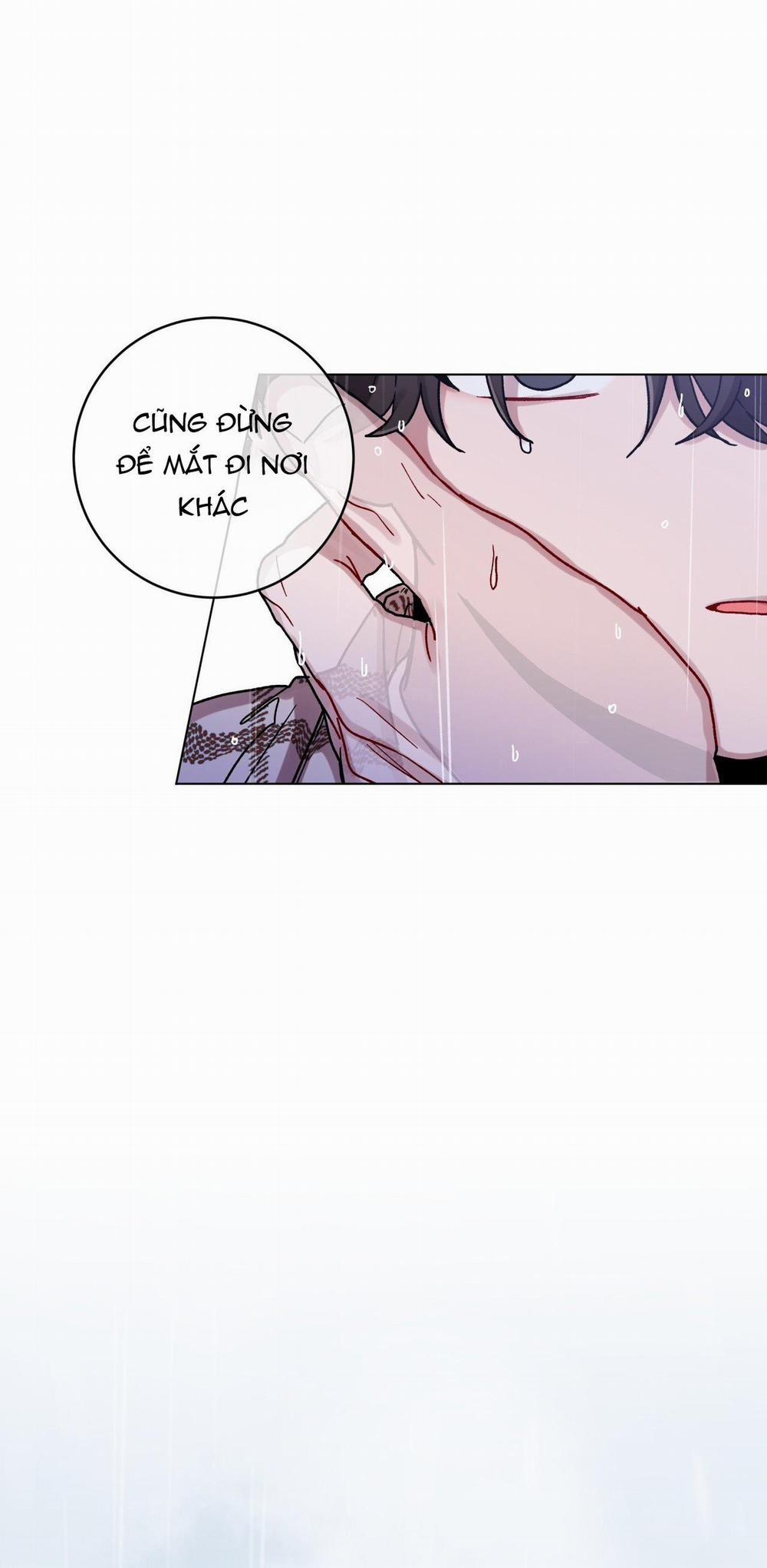 Cơn Mưa Rào Mùa Hạ 77 trang 45