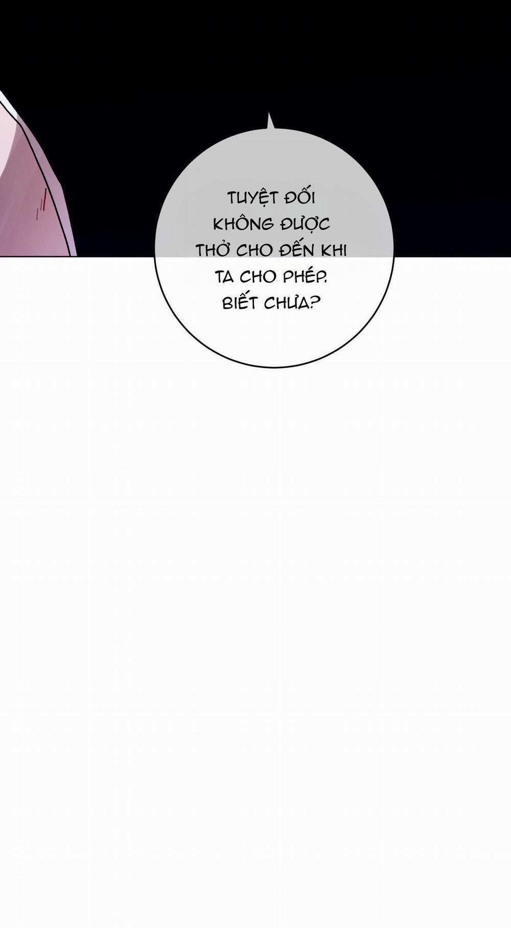 Cơn Mưa Rào Mùa Hạ 79 trang 15