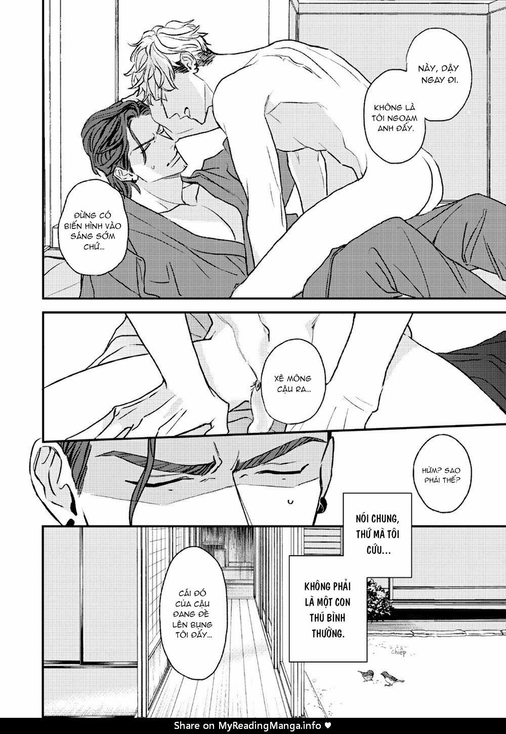 Con Ngươi Tựa Hổ Phách 1 trang 10