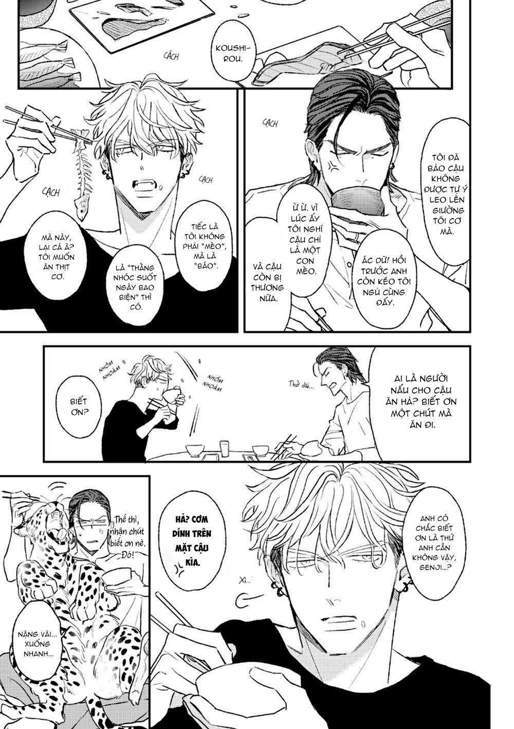 Con Ngươi Tựa Hổ Phách 1 trang 11