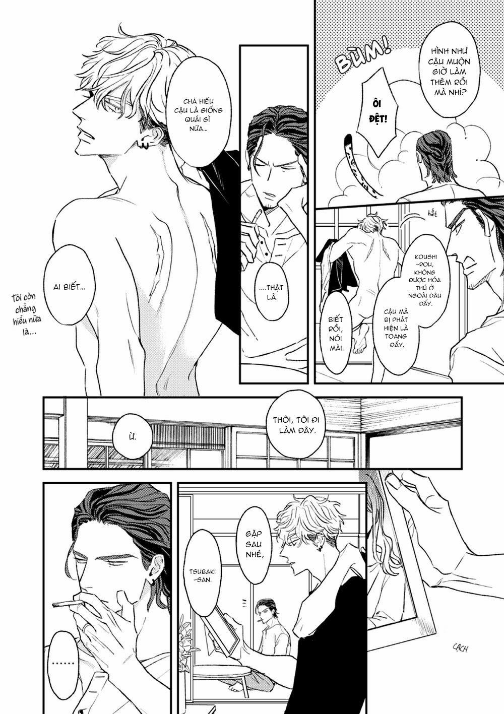 Con Ngươi Tựa Hổ Phách 1 trang 12