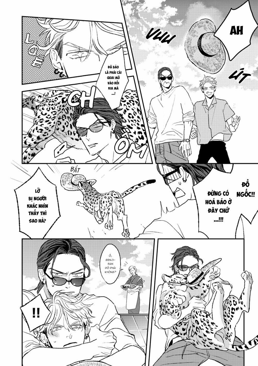 Con Ngươi Tựa Hổ Phách 2 trang 19