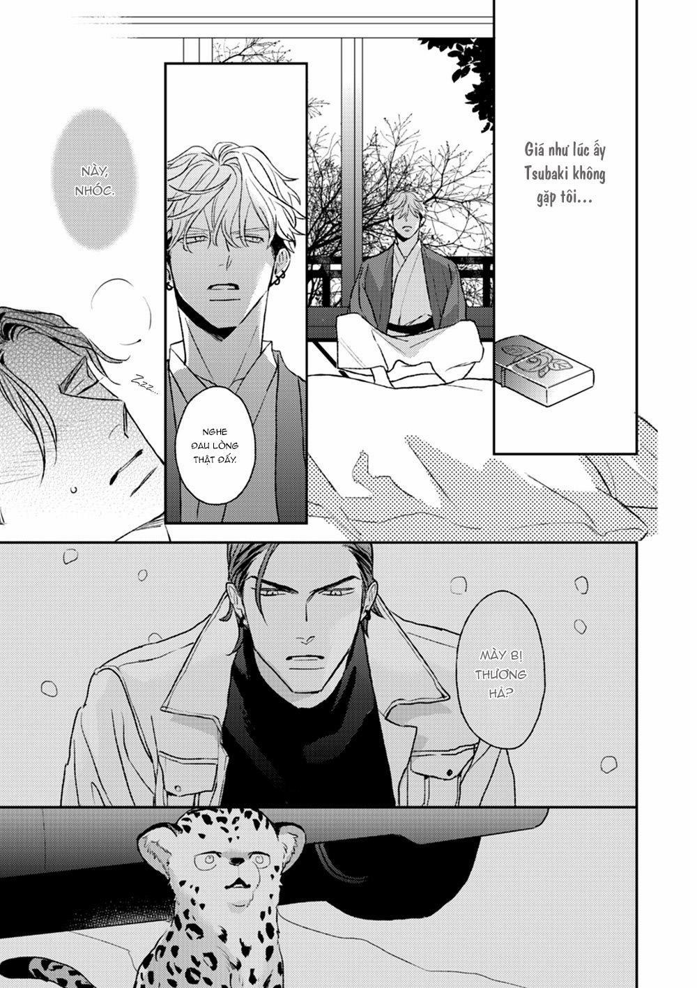 Con Ngươi Tựa Hổ Phách 2 trang 30