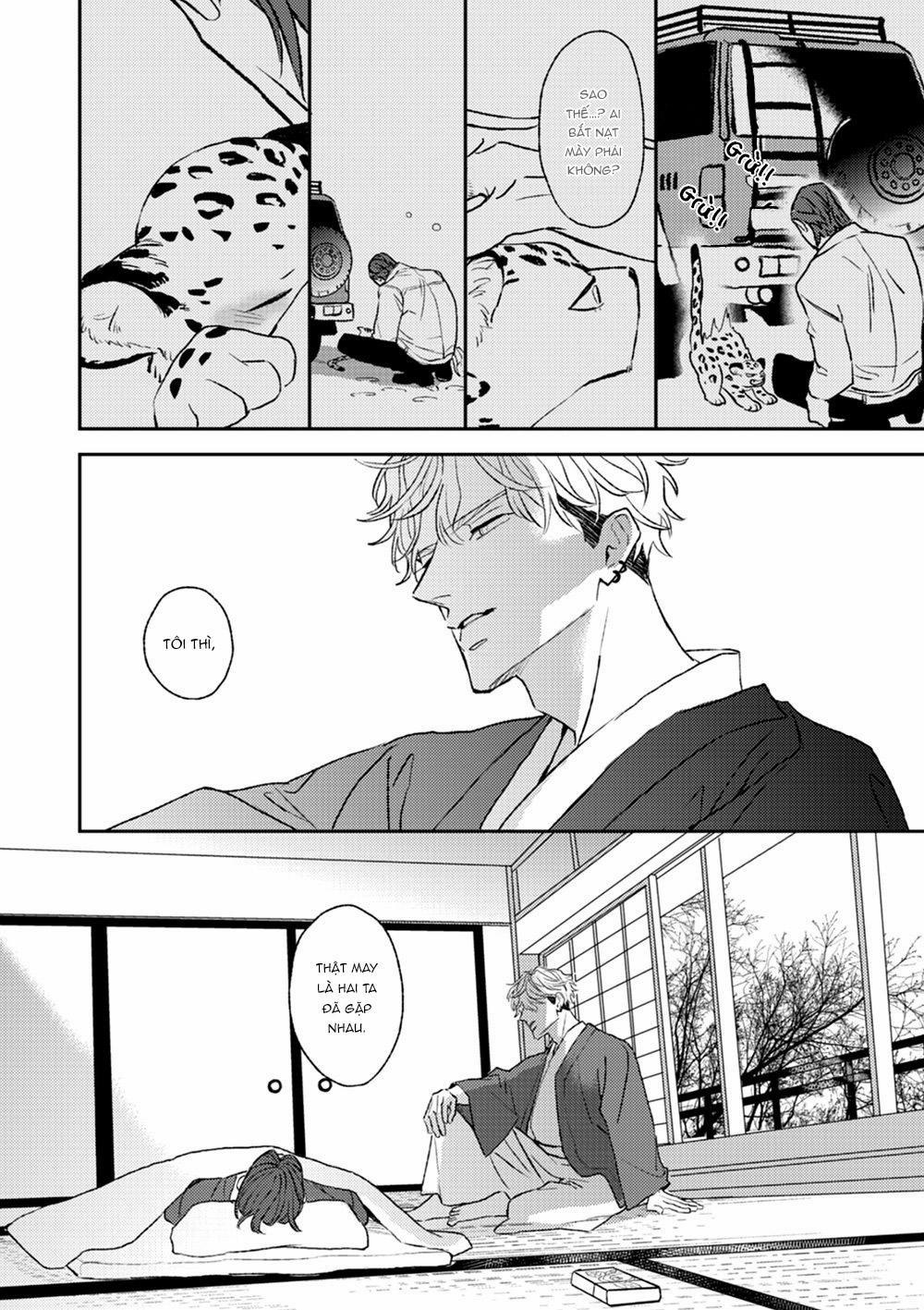 Con Ngươi Tựa Hổ Phách 2 trang 31