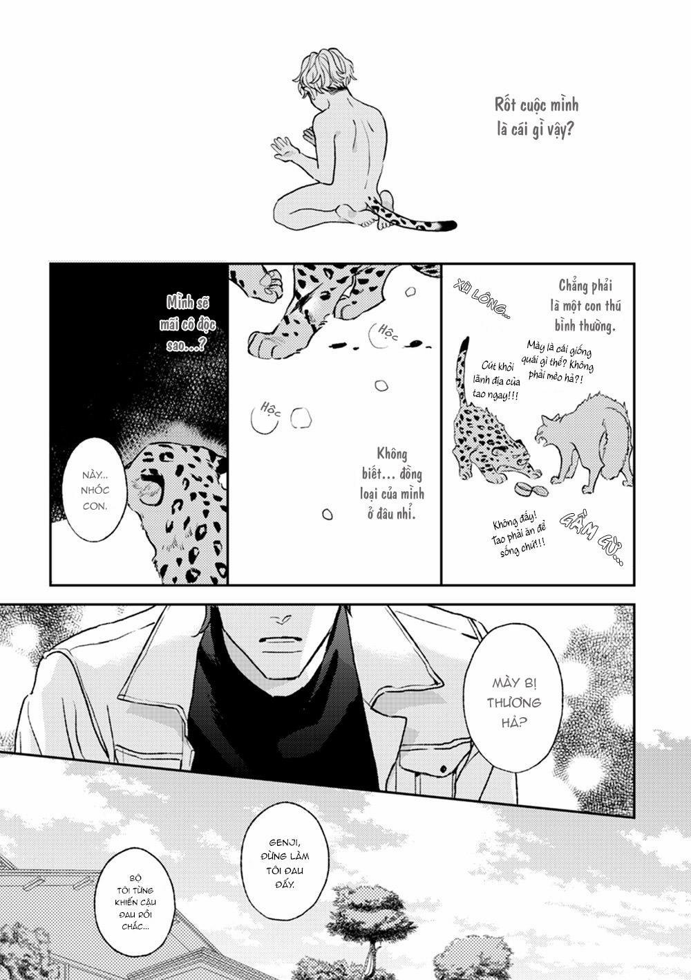 Con Ngươi Tựa Hổ Phách 2 trang 4