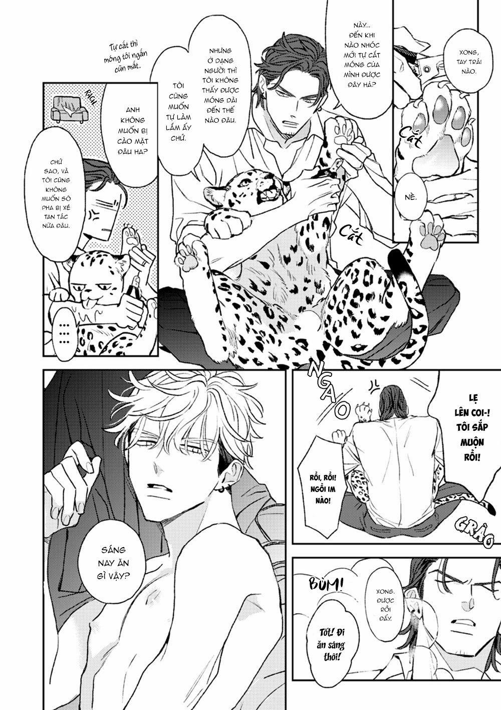 Con Ngươi Tựa Hổ Phách 2 trang 5